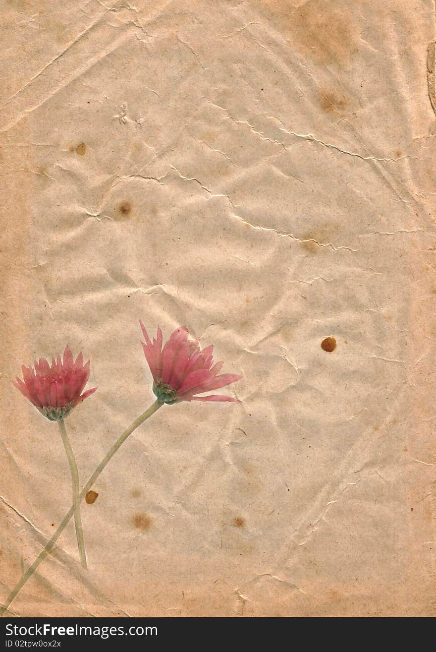 Old paper with floral element chrysanthemum, texture very useful for design. Old paper with floral element chrysanthemum, texture very useful for design