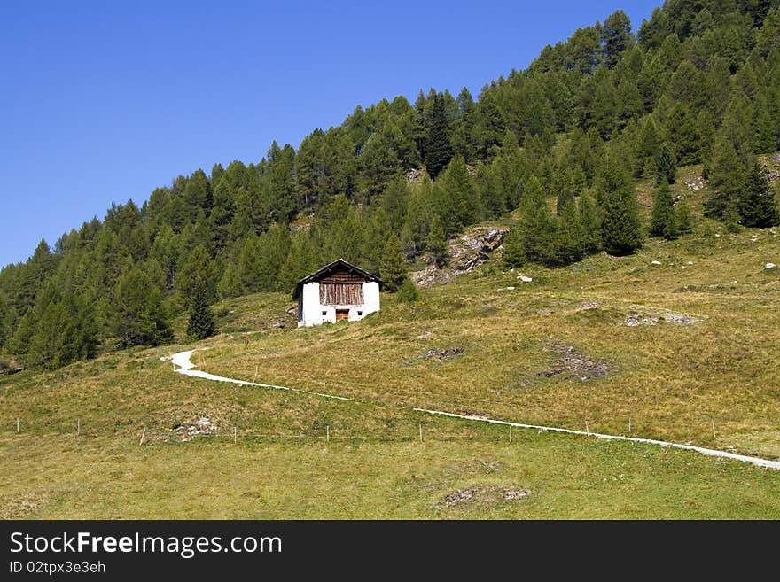 House in the meadow