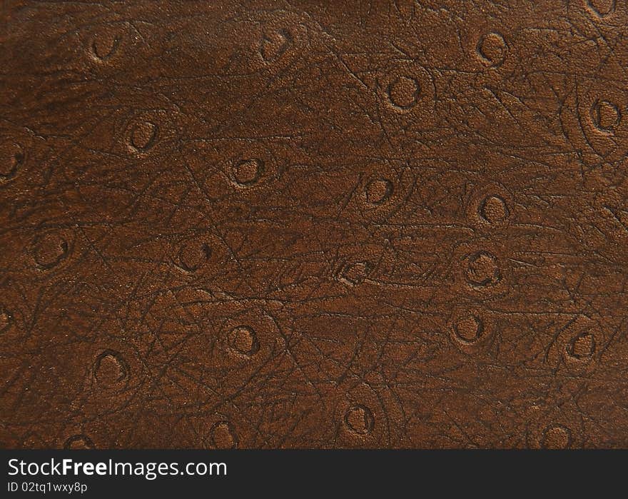 Leather Material Pattern and Texture Sample