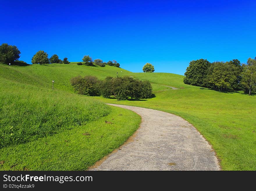 Green meadow with sunbeams, path and forest in sommer, Munich