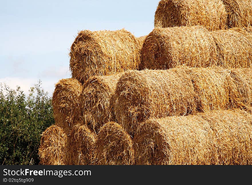 Straw stack wood for animal feed. Straw stack wood for animal feed