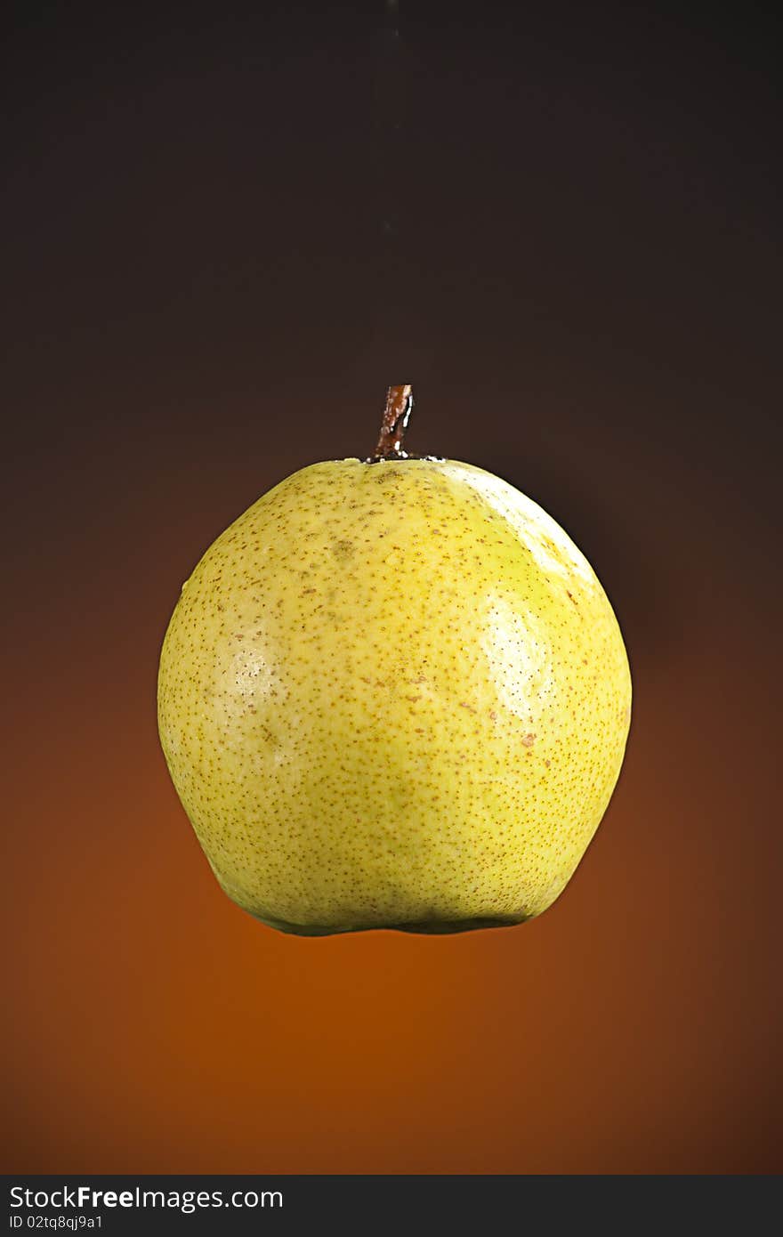 A sweet ripe pear fruit isolated against a spotlight gold background. A sweet ripe pear fruit isolated against a spotlight gold background.