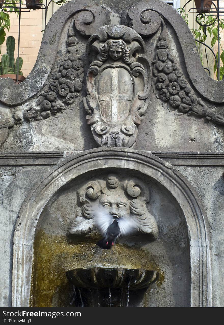 Fountain in a small italian village. Fountain in a small italian village