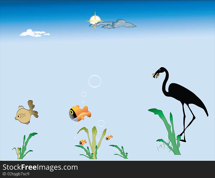 Flamingos predator fish, tropical fish swimming around ,vector ,illustration. Flamingos predator fish, tropical fish swimming around ,vector ,illustration