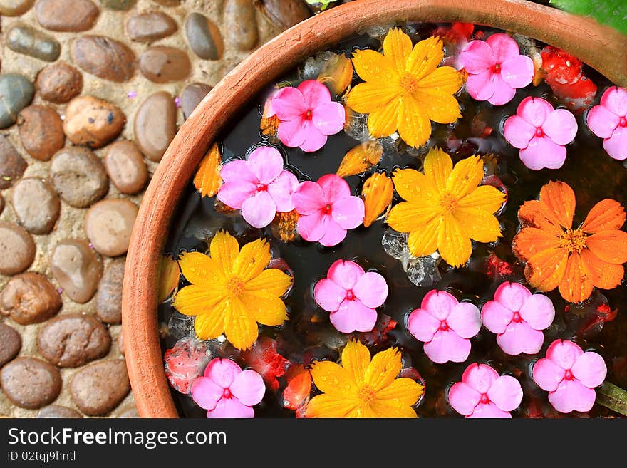 Flowers on water of spa