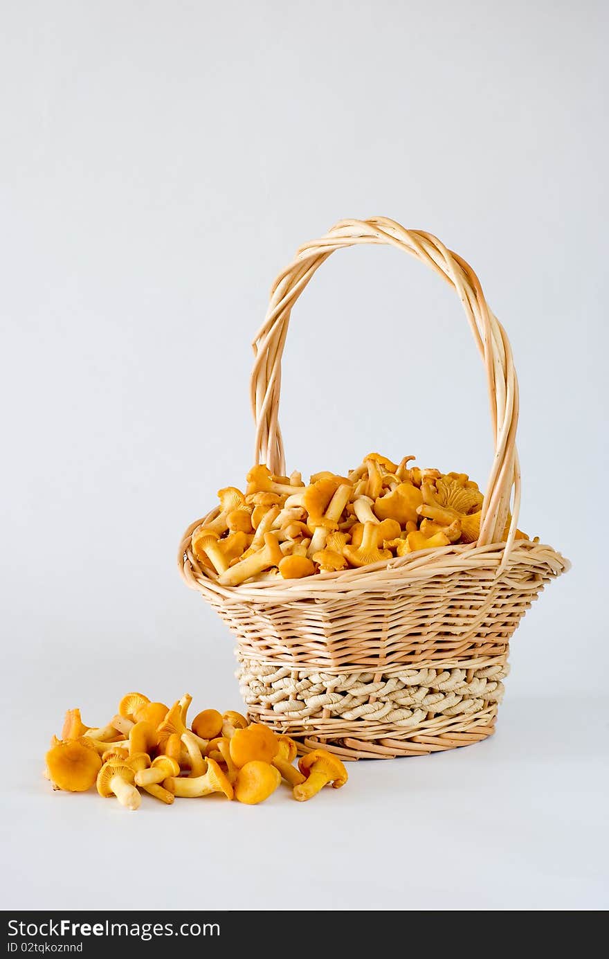 Chanterelle mushroom in the wicker basket on the white background