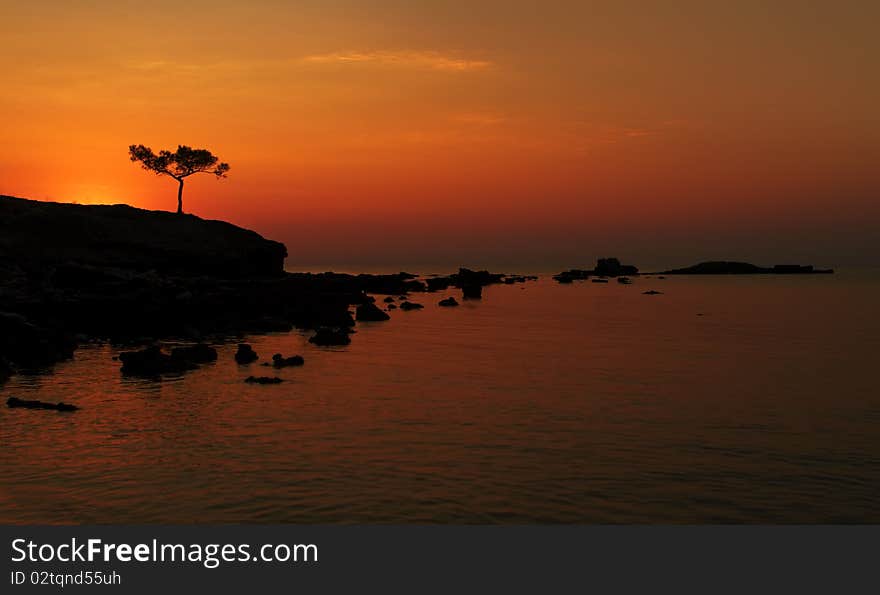 A beautiful Mediterranian sea sunrise with alone pine in the foreground. A beautiful Mediterranian sea sunrise with alone pine in the foreground.