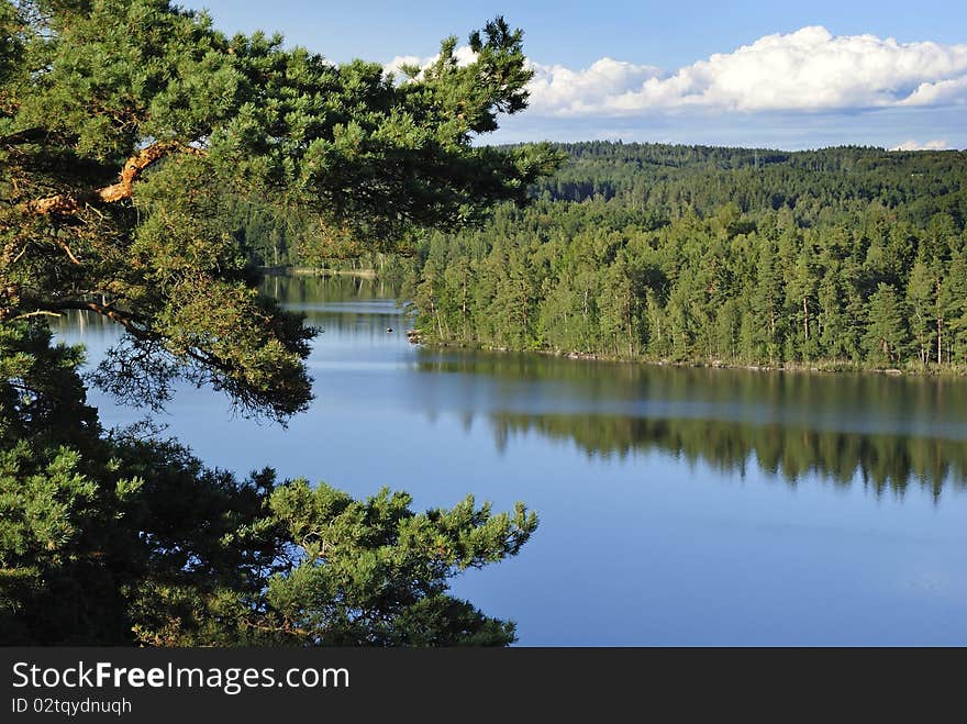 Summer hill's view for pine forest and lake. Summer hill's view for pine forest and lake