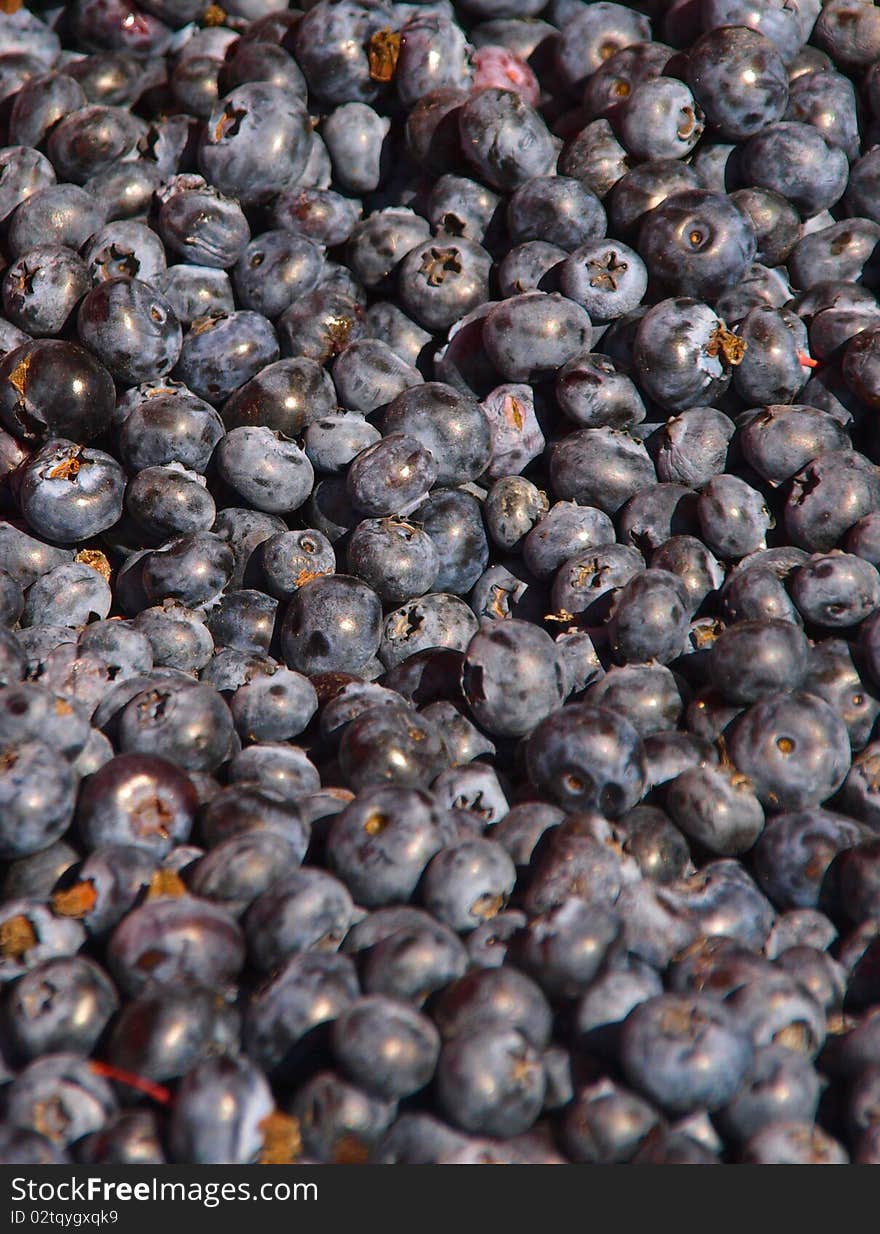 Blueberries