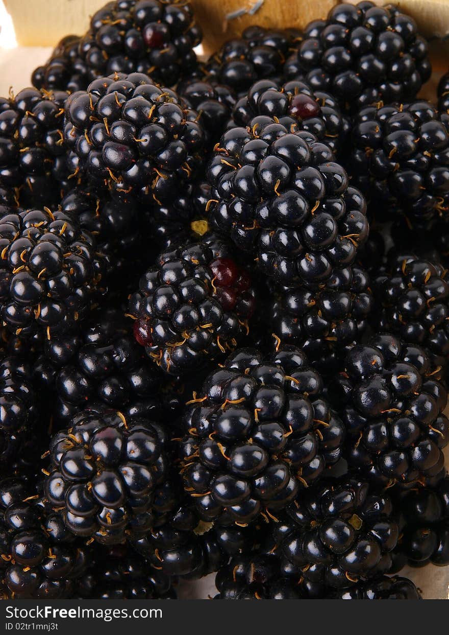 Fresh Blackberries