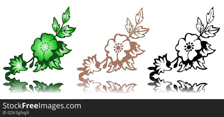 Vector Floral Design Elements