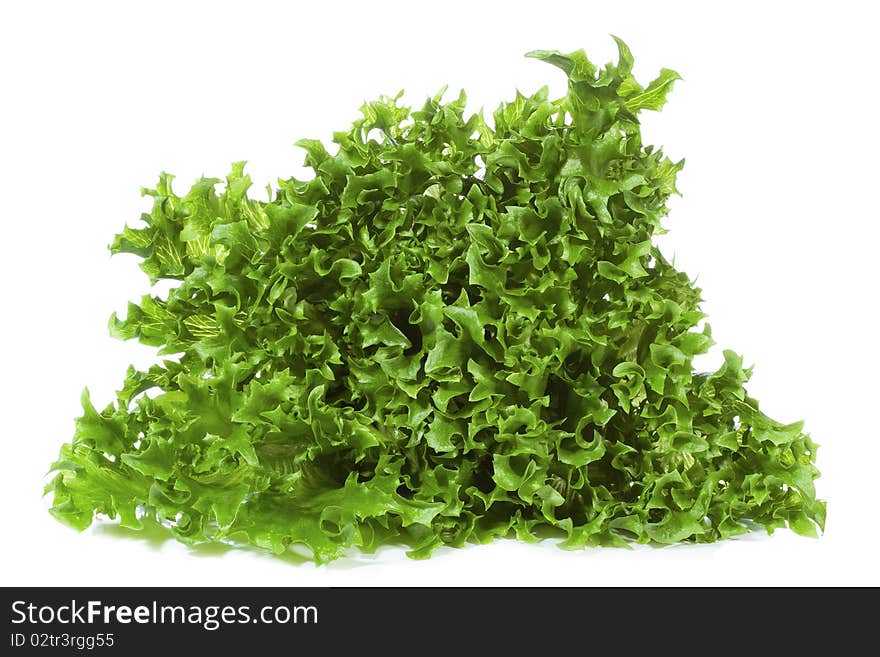 Green salad on white background