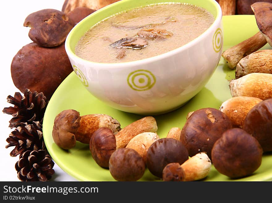 Mushroom soup in a bowl with some mushrooms around it and some pinecones