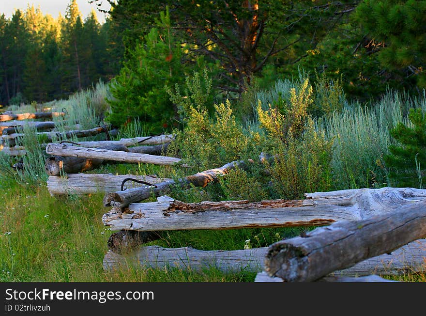 Picture represents the old wooden fence in the countryside