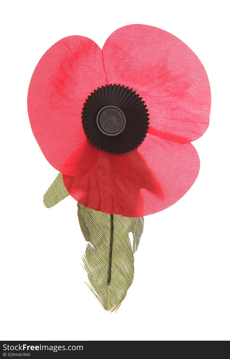 Remembrance poppy isolated studio cutout