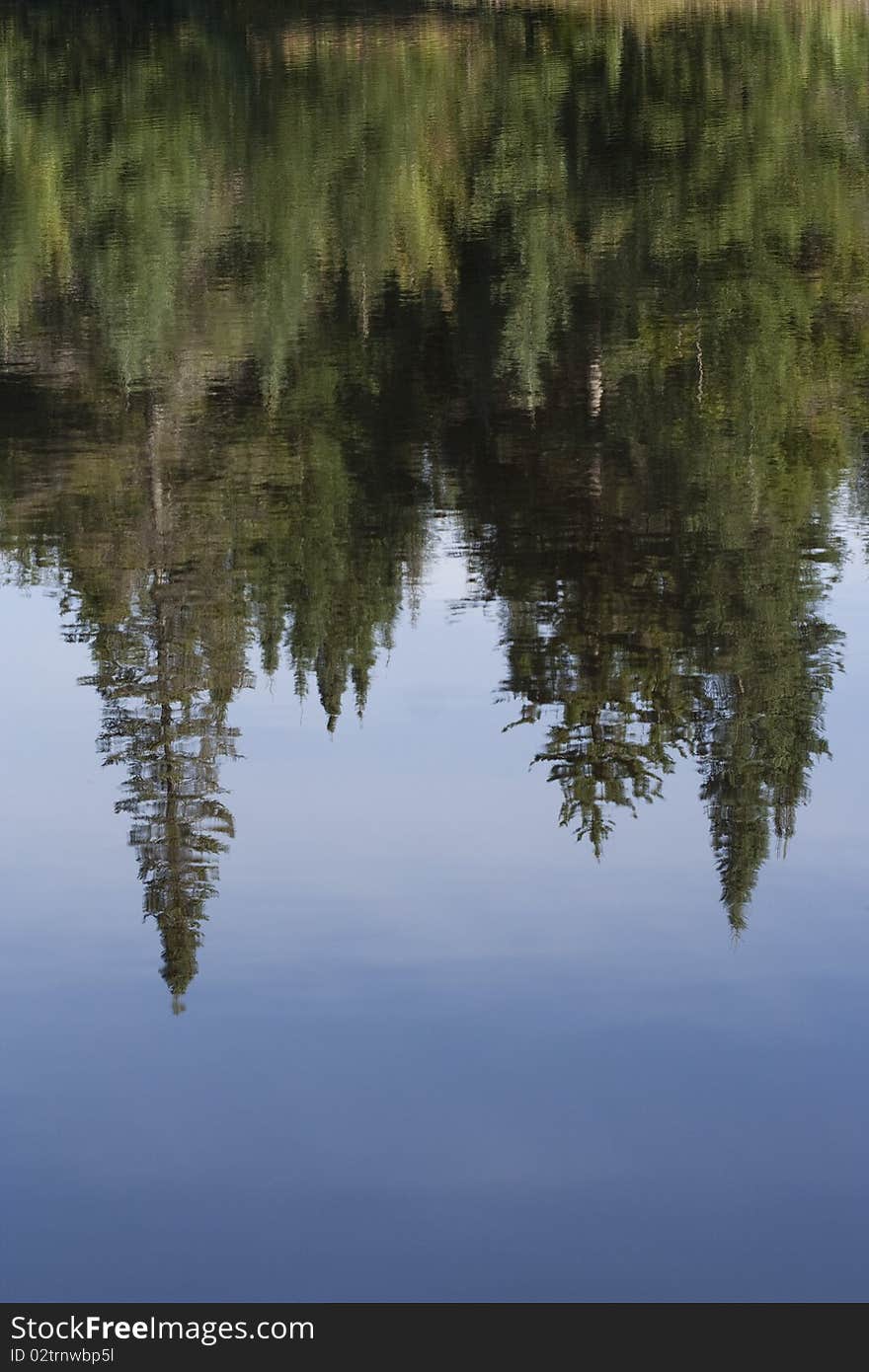 Reflected Landscape in the Adirondack Mountains