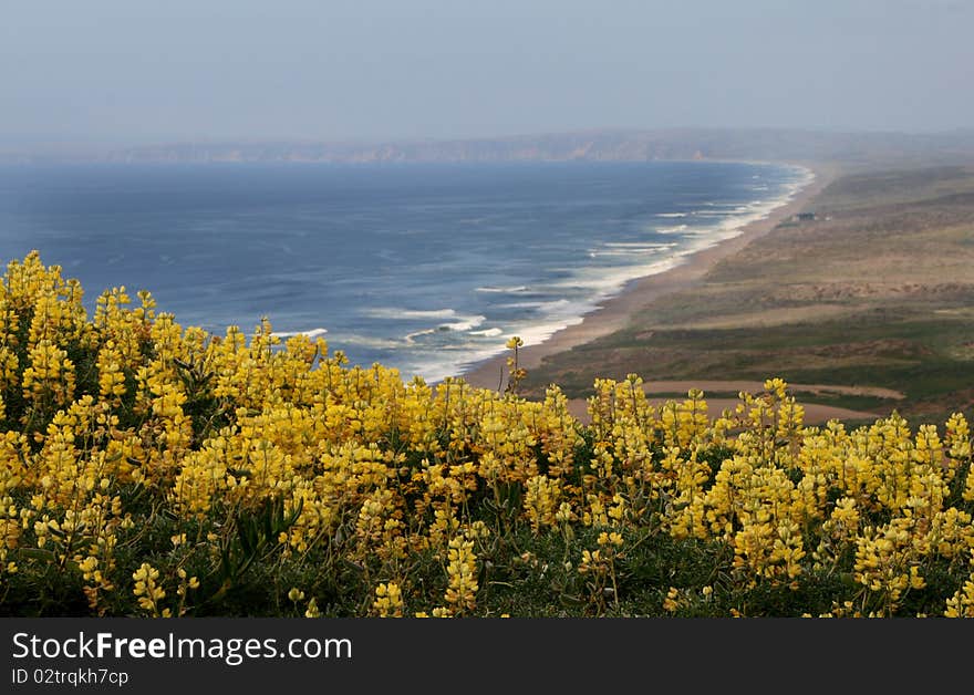 Picture represents the coastline of California (Point Reyes). Picture represents the coastline of California (Point Reyes)