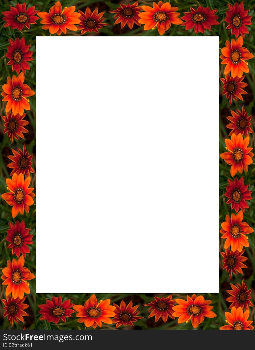 Autumnal frame composed of series of fall colored flowers in orange, rust, red and brown with greenery in background. Autumnal frame composed of series of fall colored flowers in orange, rust, red and brown with greenery in background.