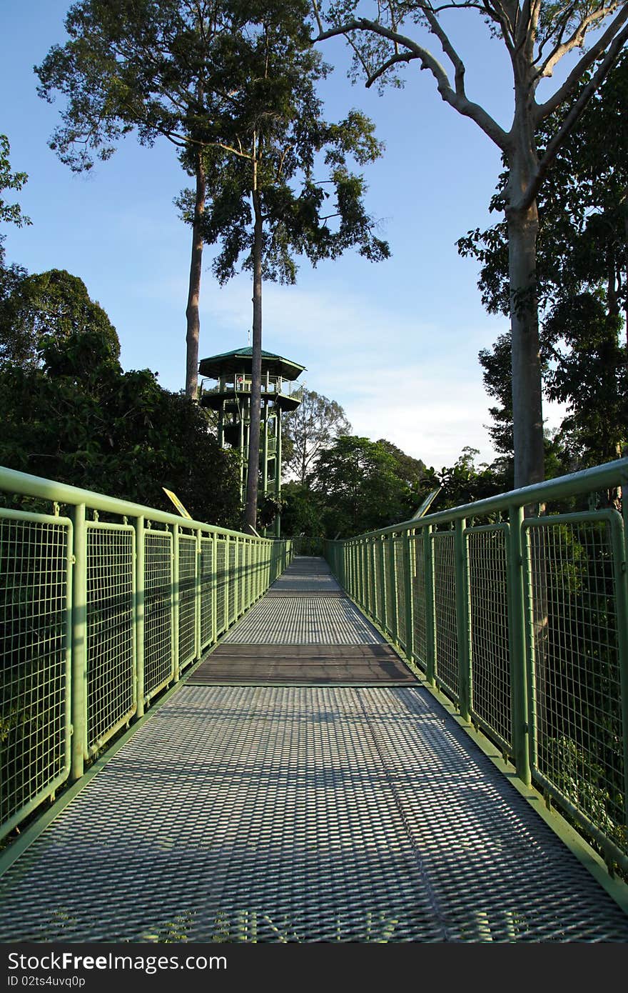 Canopy Walk in Borneo, Malaysia. Canopy Walk in Borneo, Malaysia.