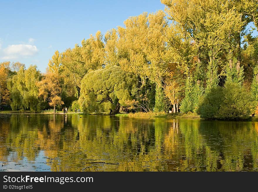 Autumnal Scene, Bank Of Lake