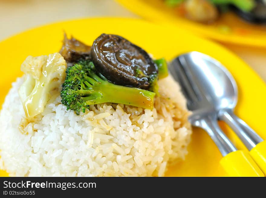 White steamed rice with vegetables and mushroom cooked oriental style. Rice is the stable diet in most Asian countries. For diet and nutrition, healthy eating and lifestyle concepts. White steamed rice with vegetables and mushroom cooked oriental style. Rice is the stable diet in most Asian countries. For diet and nutrition, healthy eating and lifestyle concepts.