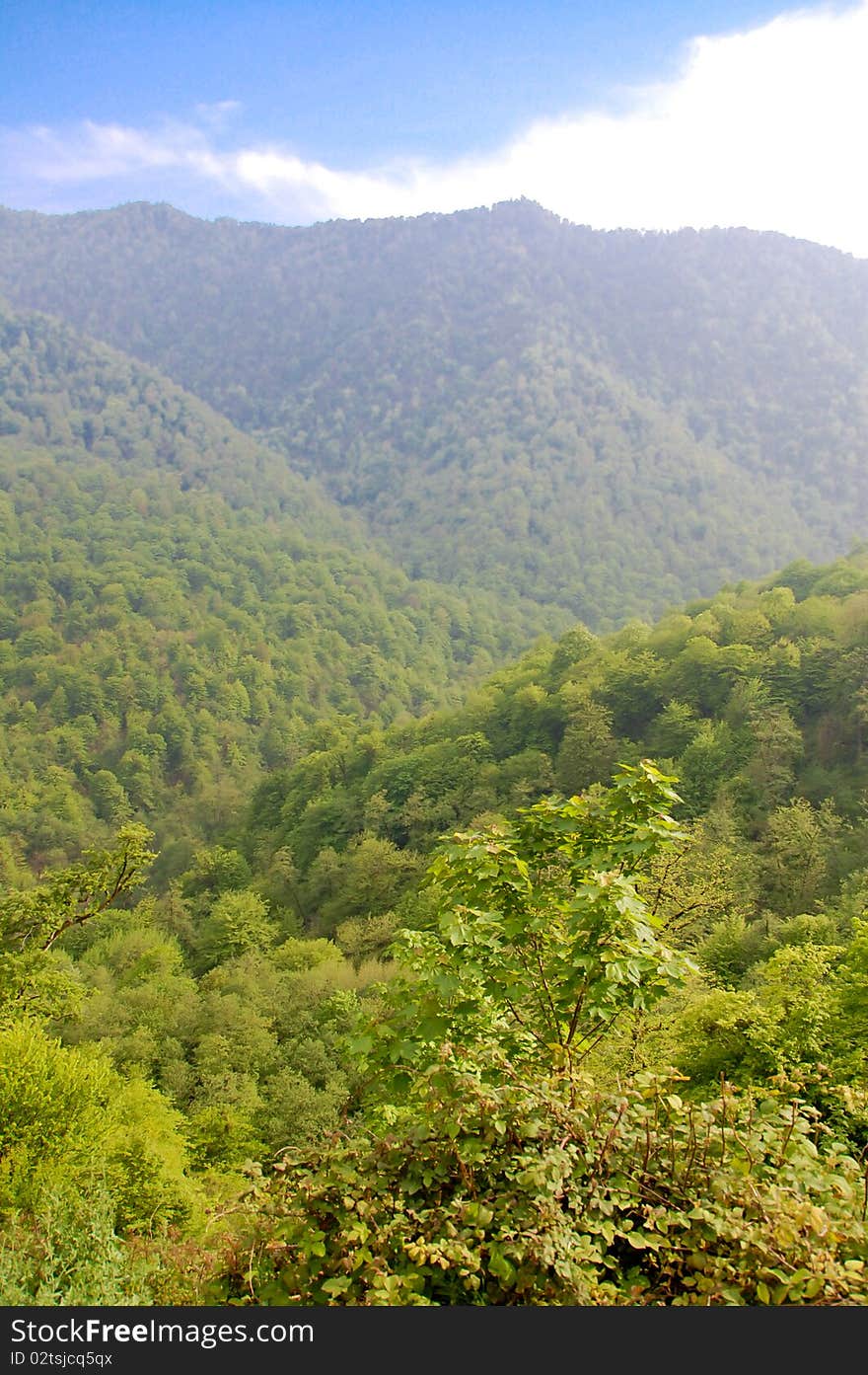 Summer in Tropical Mountains