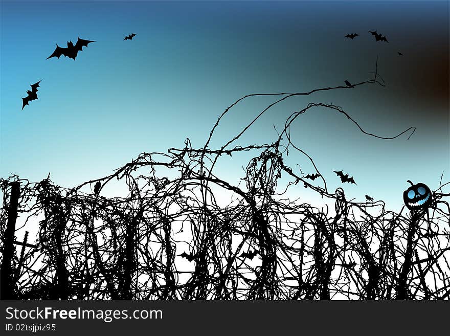 Halloween Night Background