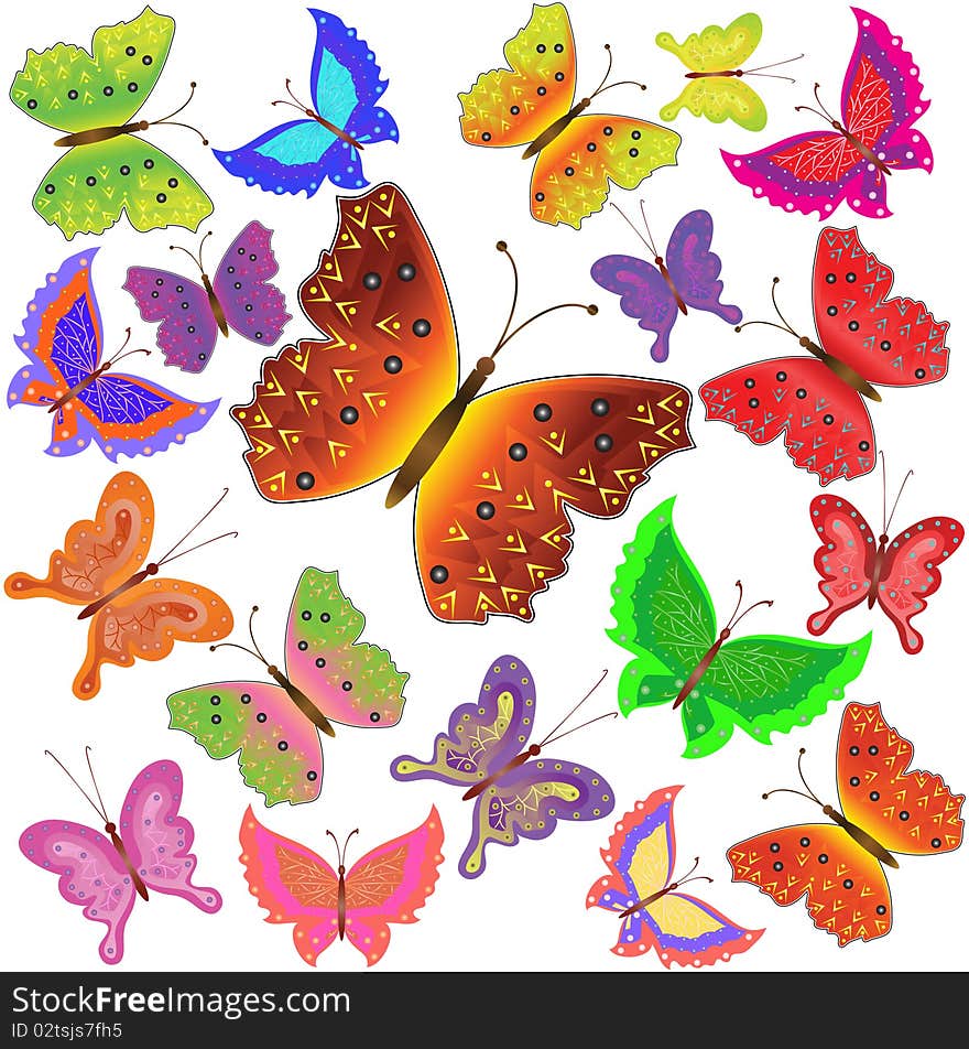 Collection of multi-colored butterflies