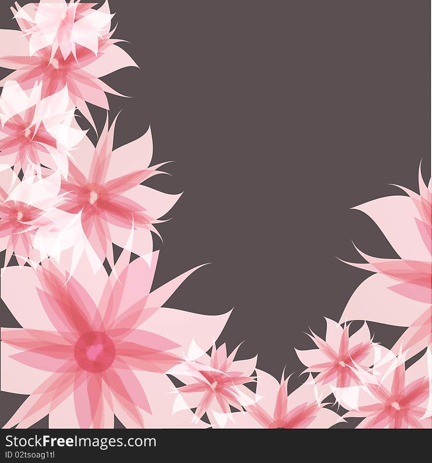 Beautiful pink, large blooming lilies, with a gray background. Beautiful pink, large blooming lilies, with a gray background