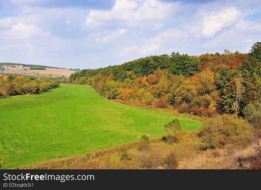 The beauty of autumn in the forest