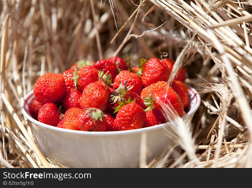 Dish of a strawberry against cereals. Dish of a strawberry against cereals