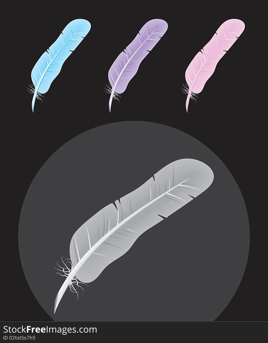 Multicolored vector feathers set symbol,view, wing