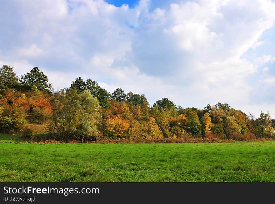 The beauty of autumn in the forest