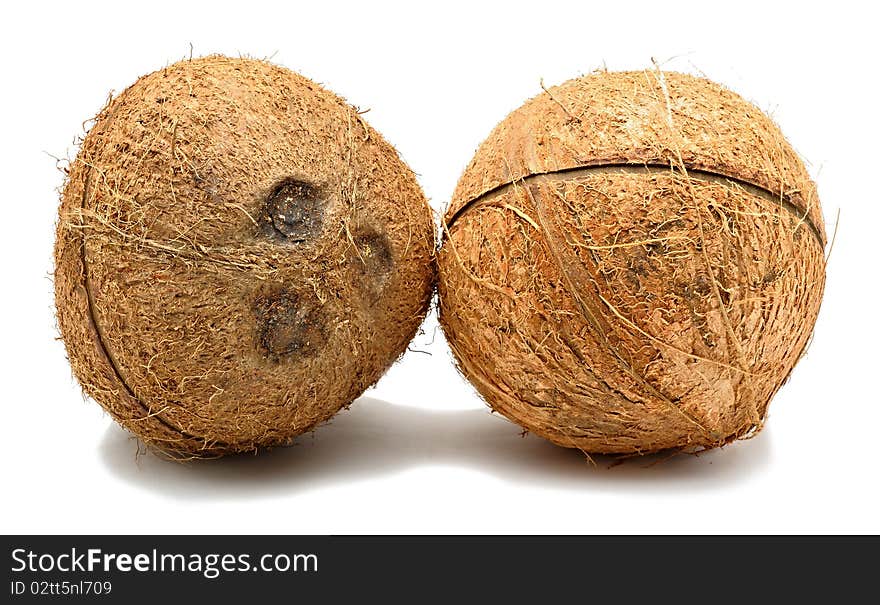 Coconut