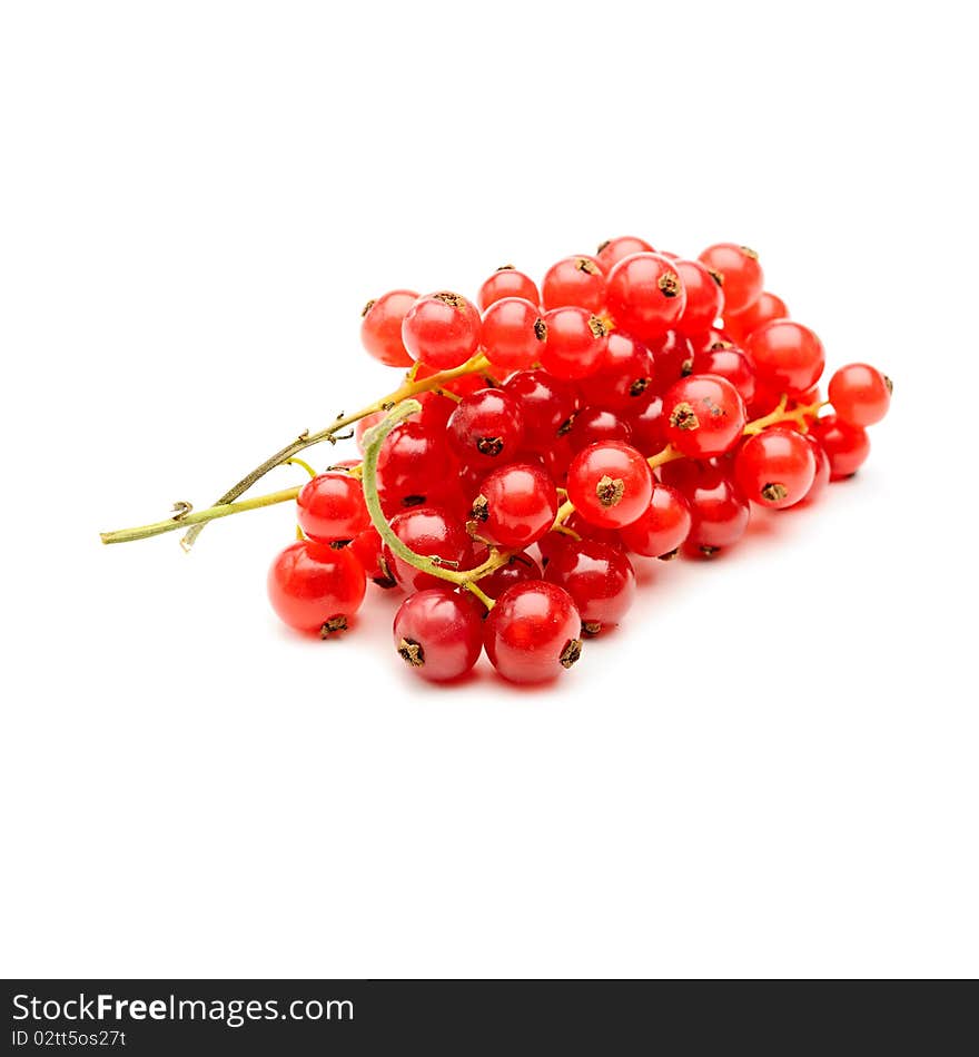 Red Currant On White Background