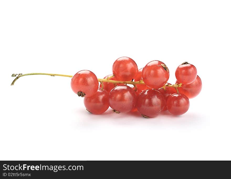 Beautiful Red currant isolated on white. Beautiful Red currant isolated on white.