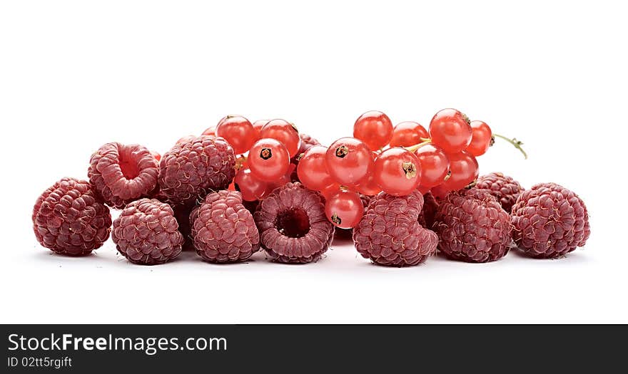 Red Currant and raspberry on white background