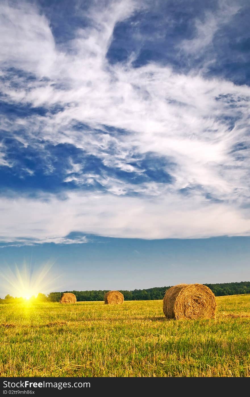 Field full of bales against tender sun in the blue sky. Field full of bales against tender sun in the blue sky.