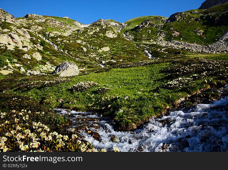 Valley With Spring In The Mountains