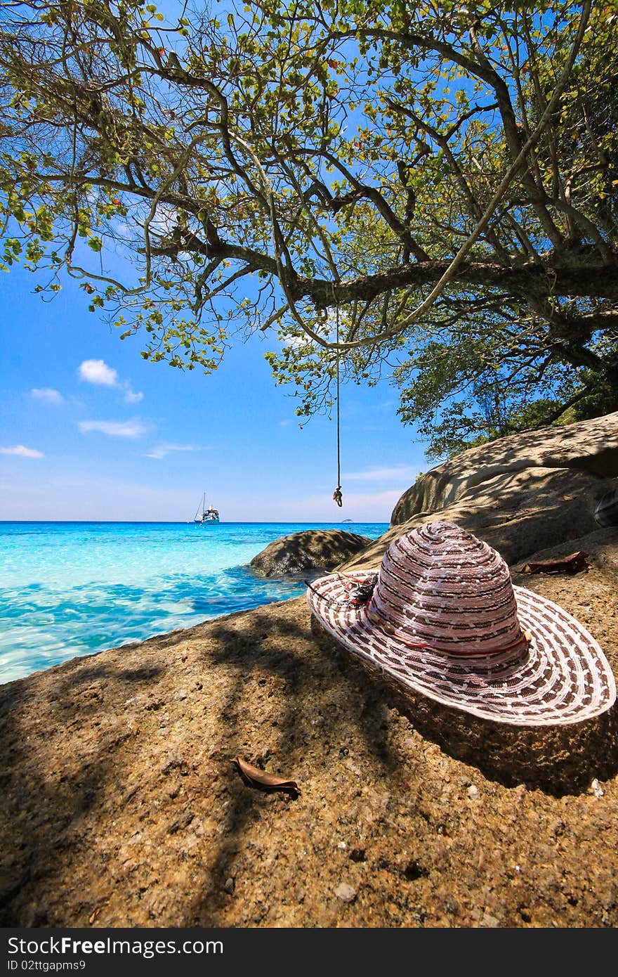 Straw Hat And Tree