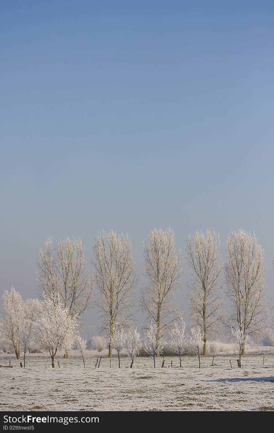 Frosty winter scenery