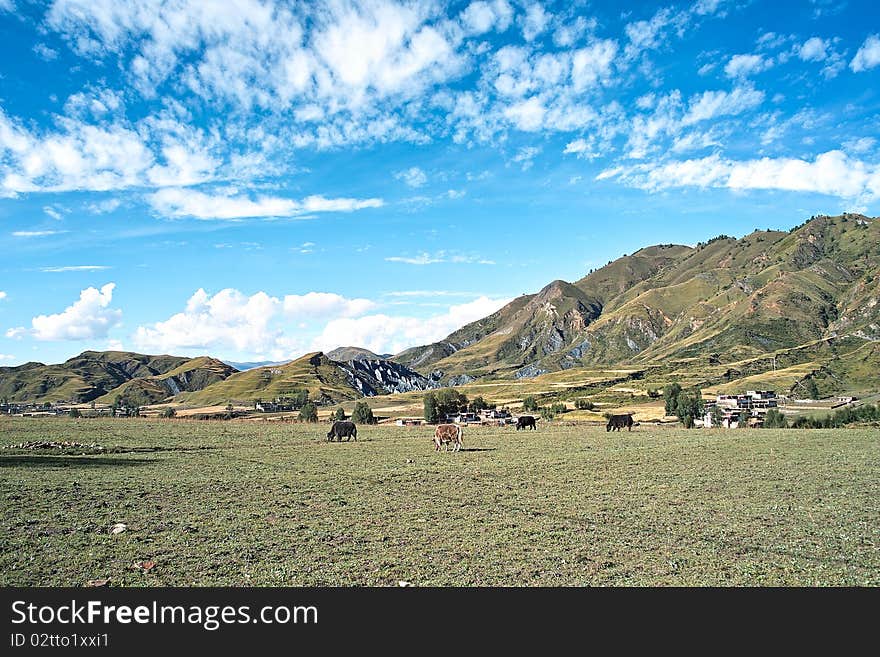 Tibetan villages