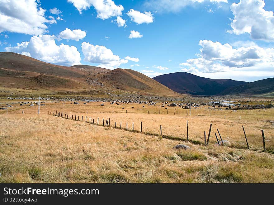 There is a beautiful pasture in highland,ganzi,sichuan.