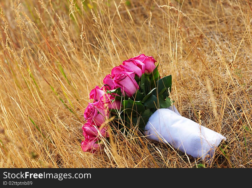 A roses in a field