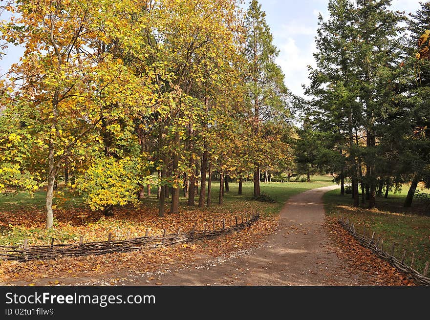 The beauty of autumn in the park. The beauty of autumn in the park