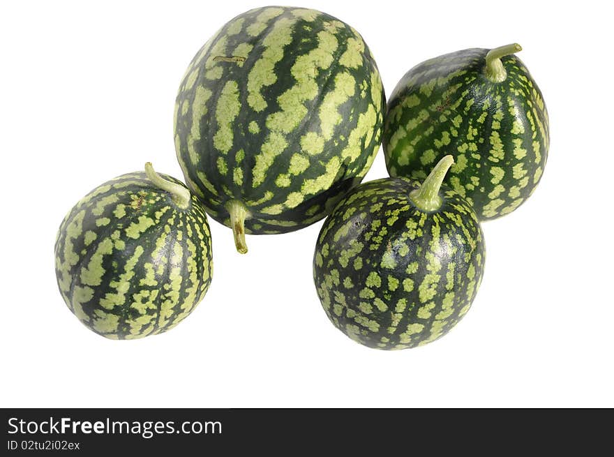 Four green small watermelons on white