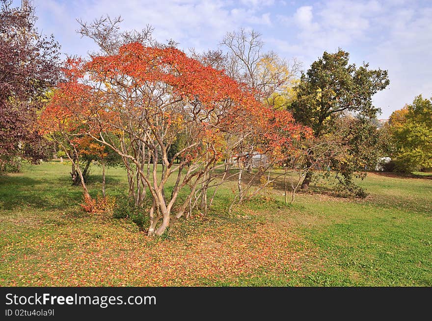 Park in autumn