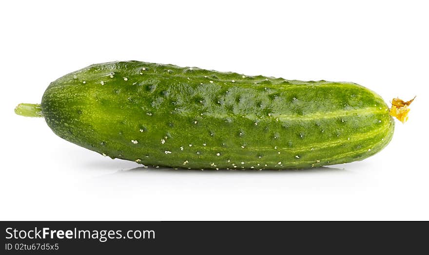 Green cucumber