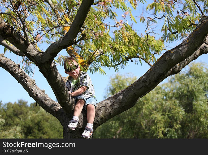 Boy In Tree