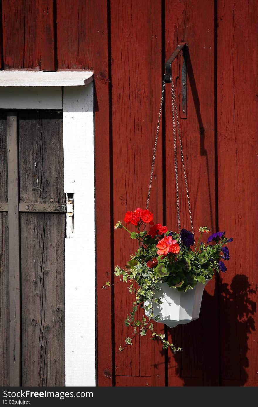 Flowers hanging on an old barn wall